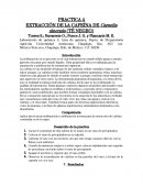 PRACTICA 4 EXTRACCIÓN DE LA CAFEÍNA DE Camelia sinensis (TÉ NEGRO)