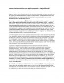 Somos Latinoamérica una región pequeña e insignificante?