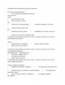 EL GRAN LIBRO DE COMUNICACION