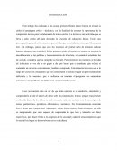 LA IMPORTANCIA DE LA COMPRESION LECTORA.