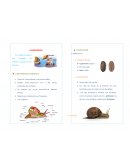 Es la segunda especie más numerosa de animales, después de los insectos.