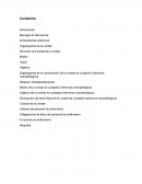 Organigrama de la coordinación de la unidad de cuidados intensivos neonatológicos