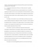 Teoría general de la Organización Internacional (Primera parte) Evolución histórica, conceptualización y fenomenología.