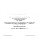 Proyecto didáctico para preescolar de insectos