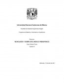 Tecnologia en el Mexico prehispanico