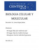 LA BIOLOGIA CELULAR Y MOLECULAR.
