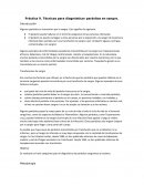 Práctica 9. Técnicas para diagnósticar parásitos en sangre.