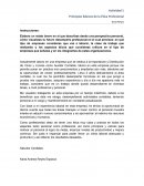 Principios básicos de la ética profesional