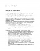 Resumen de programación