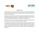 Ejemplo de manual de procedimientos