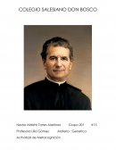 Actividad de metacognición. Modificaciones genéticas