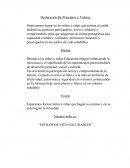 Declaración De Principios y Valores