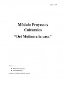 Módulo Proyectos Culturales “Del Molino a la casa”
