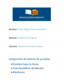 Bateria de Pruebas Entrevista profunda