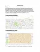 Estudio Tecnico, Cuenta Streaming