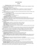 GUIA EXAMEN PARCIAL APUNTES