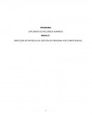 DIPLOMADO DE RECURSOS HUMANOS. DIRECCIÓN ESTRATÉGICA DE GESTIÓN DE PERSONAS POR COMPETENCIAS.