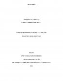 LITERATURA GÉNERO Y GRUPOS CULTURALES