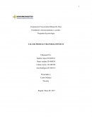 Programa de psicología TALLER MODELO TRANSDIAGNÓSTICO