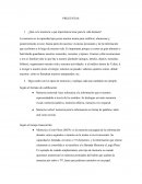 ¿Qué es la memoria y qué importancia tiene para la vida humana?