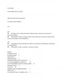 NORMAS BÁSICAS DE NETIQUETA