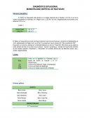 DIAGNÓSTICO SITUACIONAL MUNICIPALIDAD DISTRITAL DE HUAYUCAHI