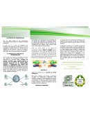 LOS PRECIOS DE TRANSFERENCIA