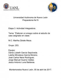 Elaborar un ensayo sobre el estudio de caso asignado en clase. Página 1