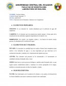 Funciones de los Elementos Químicos en el organismo.