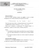 Guia de Algebra Lineal