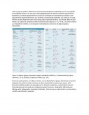 Una vez que se pudieron determinar las estructuras de algunos compuestos y se fue conociendo su reactividad química