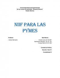 NIIF para las pymes. Página 1