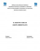 El maestro como un agente ambiental