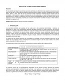 PRÁCTICA N4: CLASES DE REACCIONES QUÍMICAS