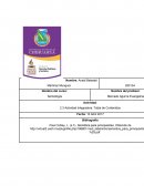 Semiologia. Las aportaciones a la semiótica de los distintos autores