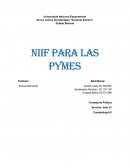 NIIF para las pymes