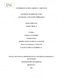 Actividad colaborativa Análisis de la situación empresarial