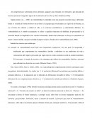 Se comprende por vulneración de los derechos cualquier acto realizado con intención o por descuido de terceras personas transgredan alguno de los derechos de los niños y niñas