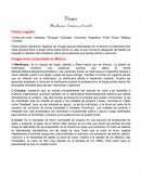 PIA (ESPAÑOL, BIOLOGIA, CULTURA FISICA, ORIENTACION Y TIC) Drogas (Marihuana, Cocaína y el crack)