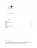 Pro Natura México A.C