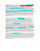 Caso de camila niveles de intervencion