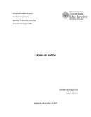 ANÁLISIS DE CADENA DE MANDO EN CEMENTOS PROGRESO