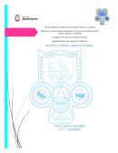 Guia de observación