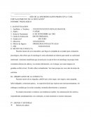 Informe Psicologico PROBLEMAS INTELECTUALES