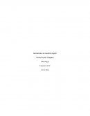 Etapas del proceso en la fabricación de pintura de oleo dentro de la fabrica