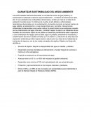 GARANTIZAR SOSTENIBILIDAD DEL MEDIO AMBIENTE