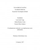 División territorial de CR e implicaciones ambientales de la agricultura