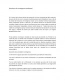 Simulacro de contingencia ambiental