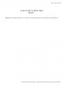 LA RUTA DE LA SEDA “SILK ROAD”
