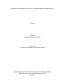 COMUNICACIONES OFICIALES EN LA ADMINISTRACION DOCUMENTAL